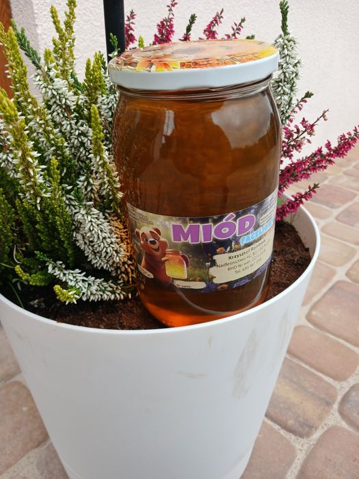 Miód faceliowy 900ml