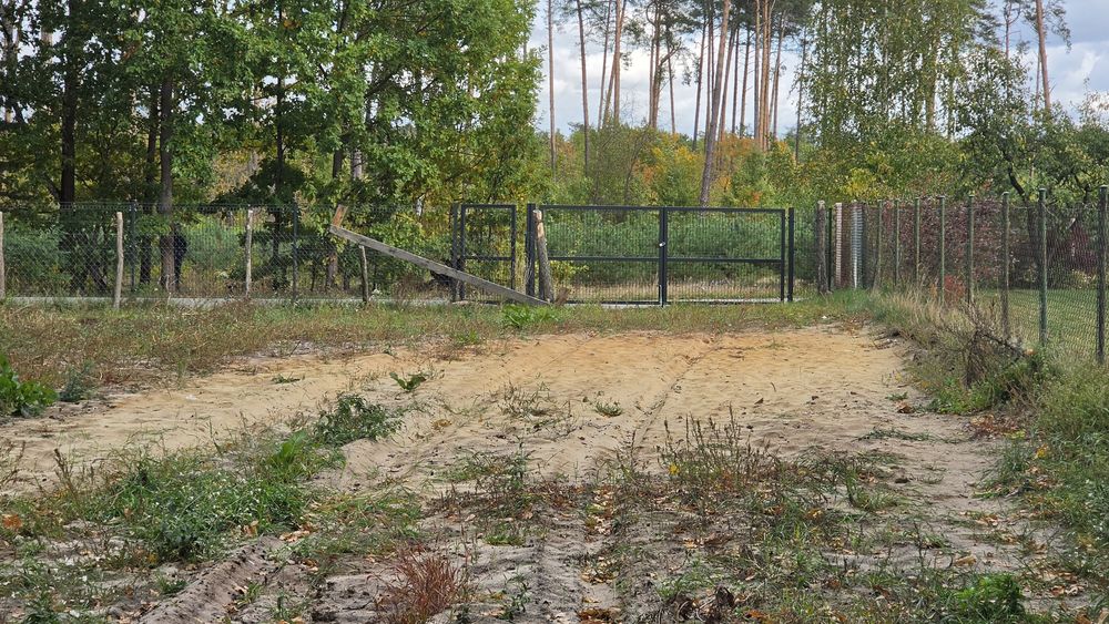 Dzialka budowlana z lasem - Więcej