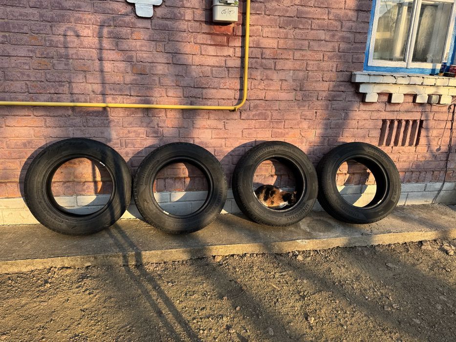Продам літню резину
