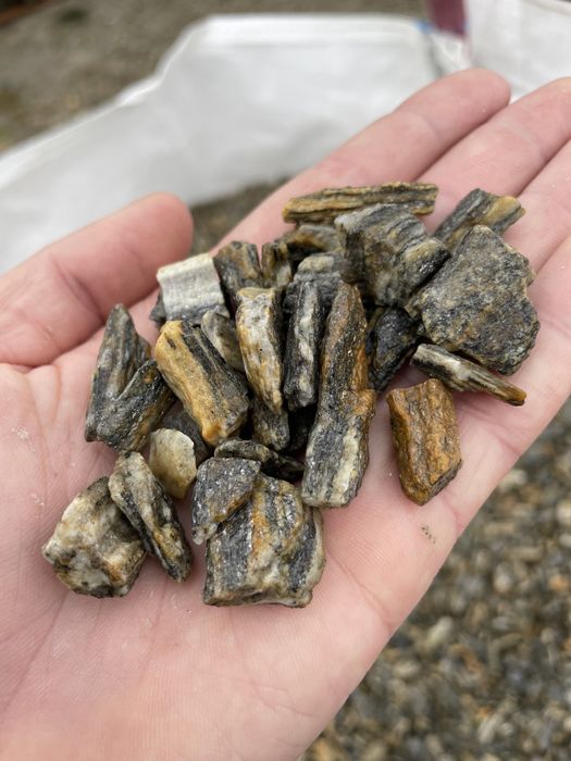 Łupek Drzewiasty Skała do Akwarium Kamień Kora Kamienna Gnejs Warszawa