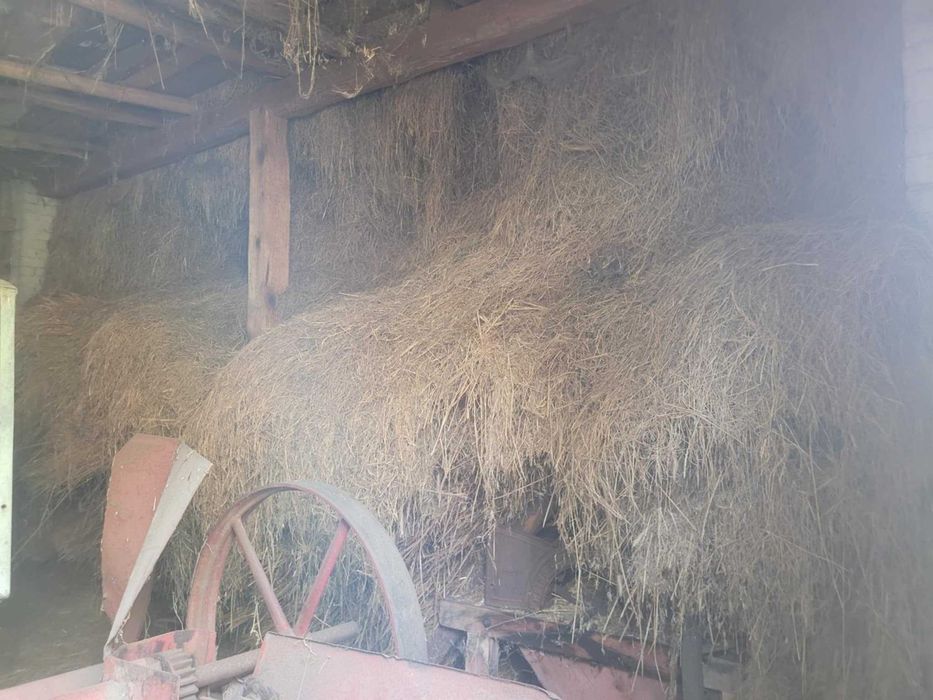 Słoma i siano za darmo