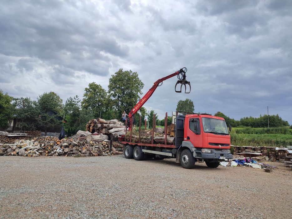 Wycinka drzew, pielęgnacja drzew, zrębkowanie gałęzi, frezowanie pni