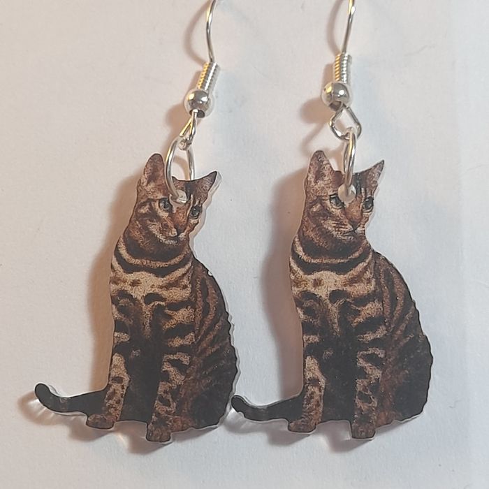 Brincos gatos hiperrealistas e fofinhos.