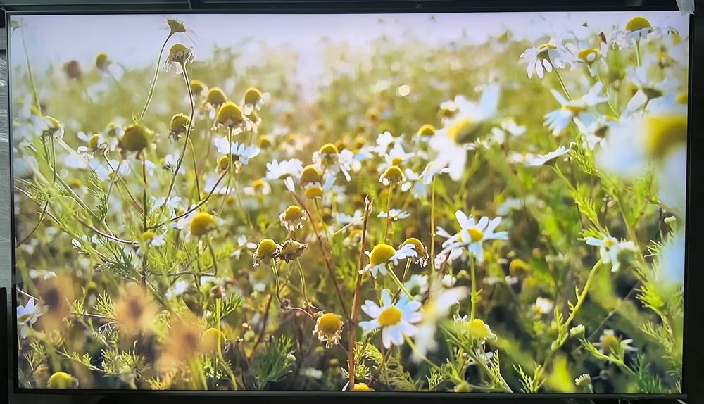 Telewizor Samsung QE65Q67C 65" QLED 4K Smart TV | Odbiór od 15 lipca