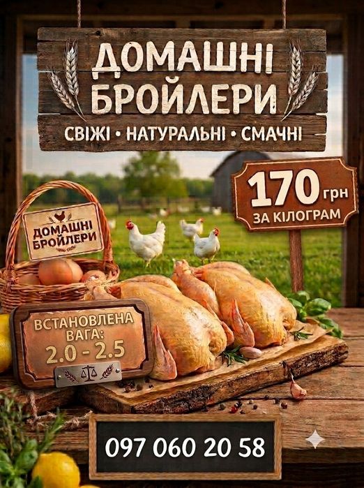 Домашні бройлери