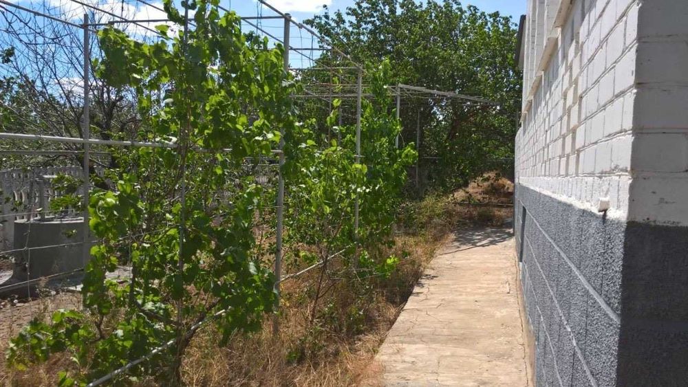 Добротная дача в Кошарах с видом на Тилигульский лиман