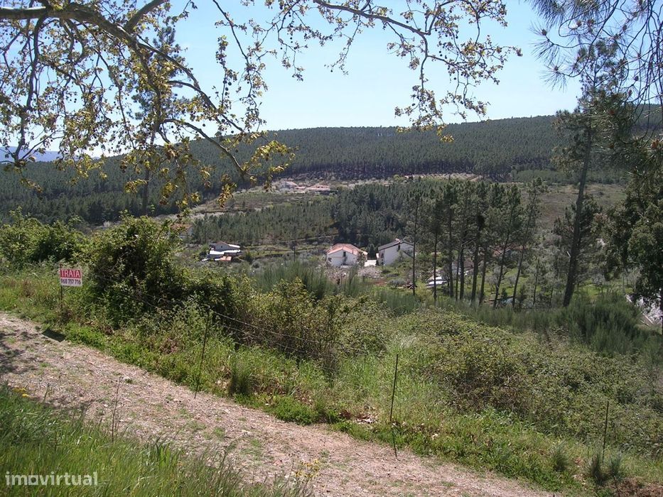 Terreno para a minha vivenda