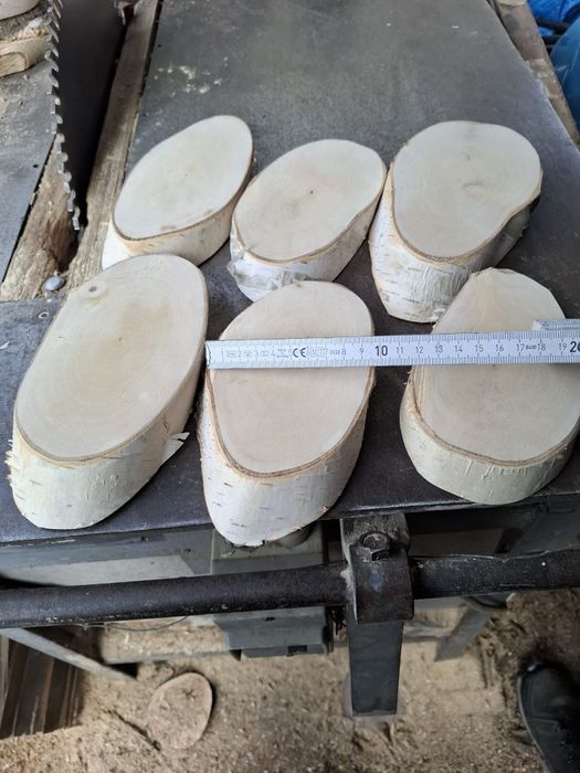 Krążki drewniane brzoza, plastry na stroiki