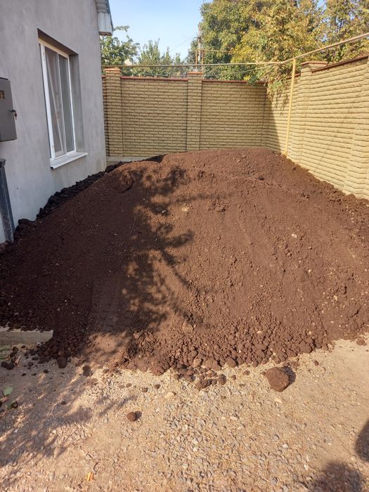 Перегной сыпец коровий