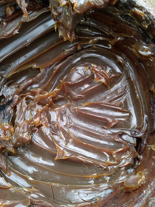 Солидол смазка в ведре