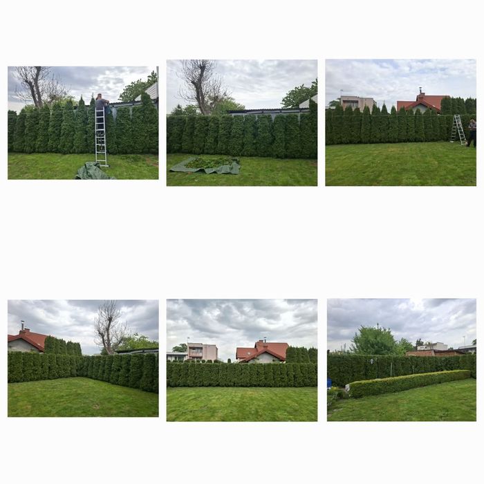 Pielęgnacja ogrodów