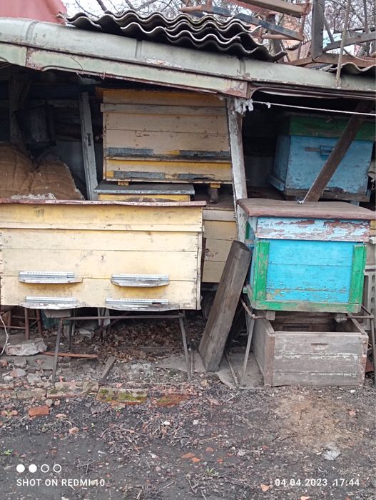 Вулики-лежаки для бджіл