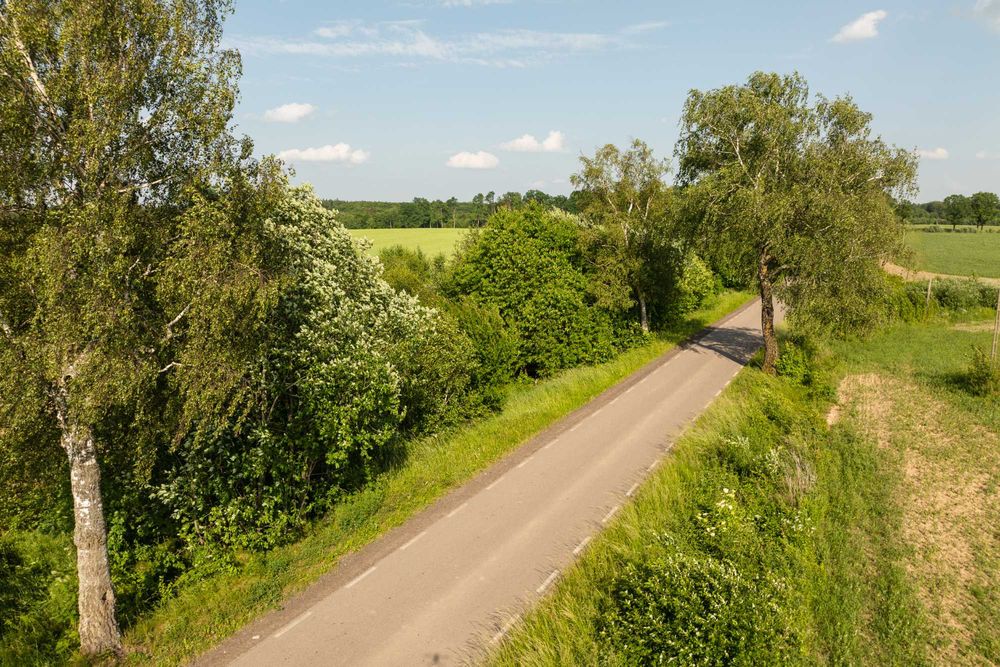 Działka pod zabudowę jednorodzinną - Widok 3