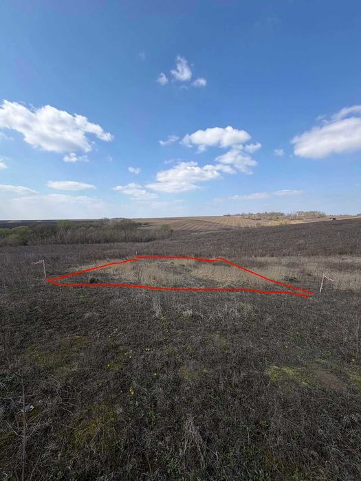 Ділянка в масиві "Королівський"- Дальні Гречани! 6 соток під забудову (світло заводиться)