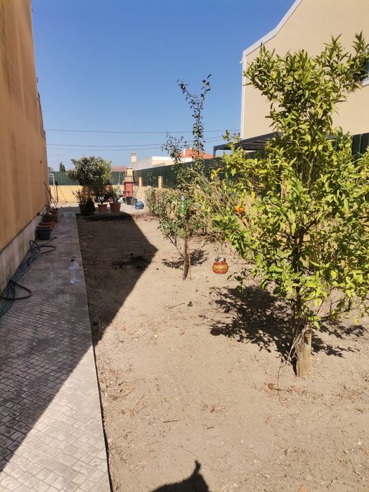 Limpeza de terrenos e jardim