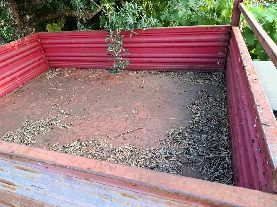 Reboque para motocultivador em bom estado só precisa de uma pintura