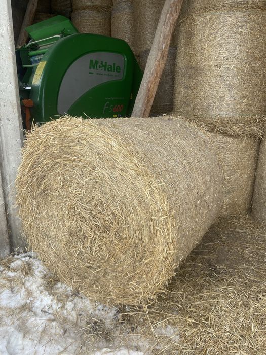 Słoma z sezonu 2025 – sucha, pod dachem