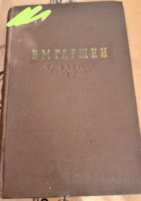 В.М. Гаршин. Всеволод Михайлович Гаршин