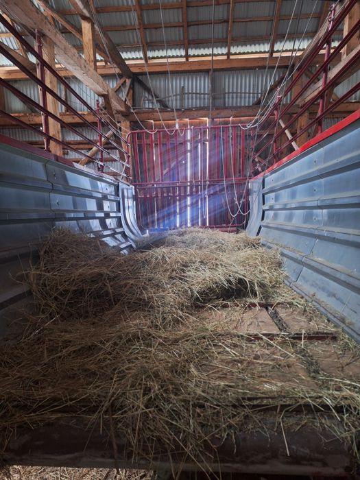 Przyczepa samozbierająca pottinger trend