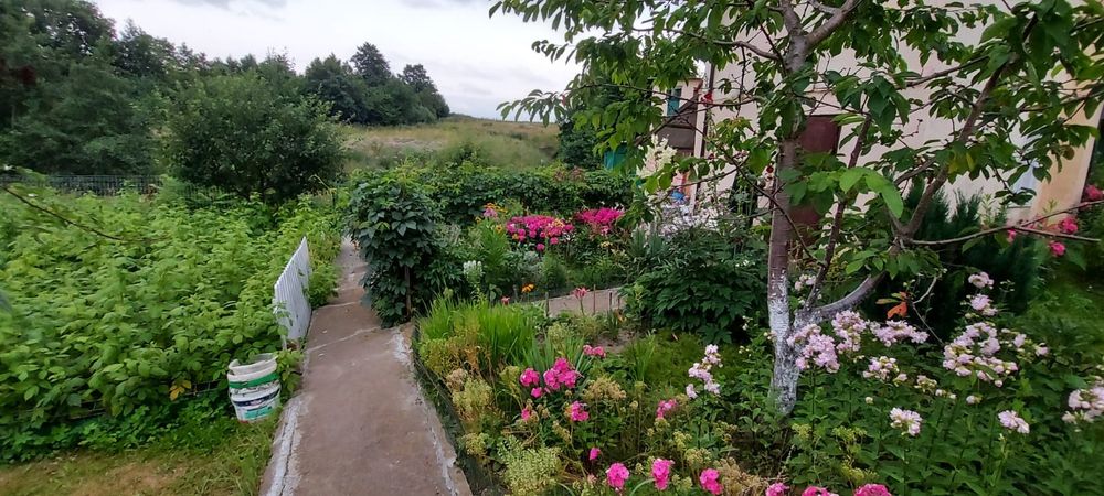 Kołobrzeg Działka ROD  530 mkw. - Widok 3