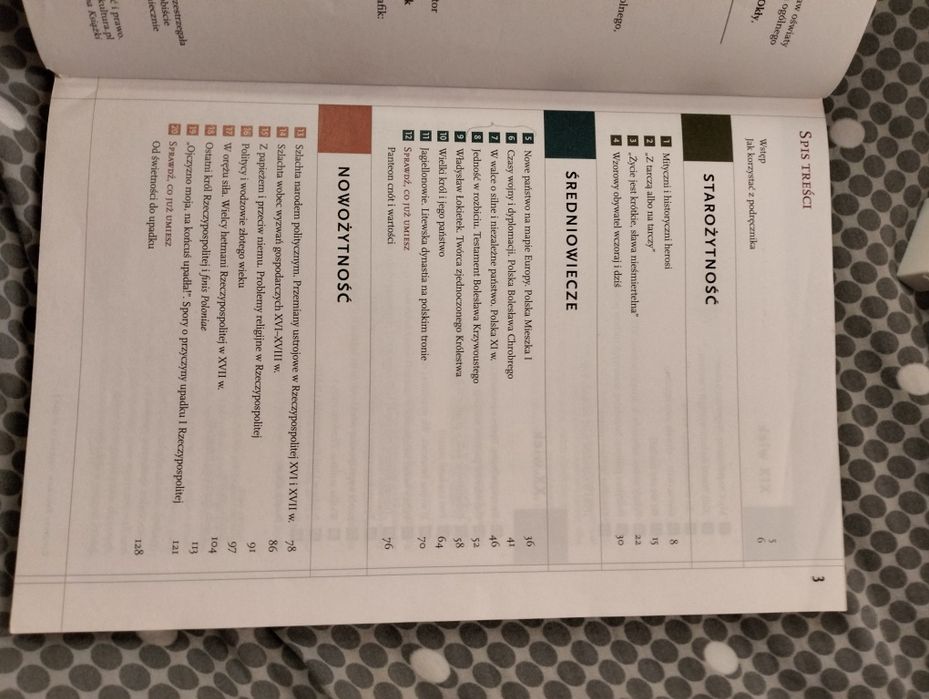 Historia i społeczeństwo
