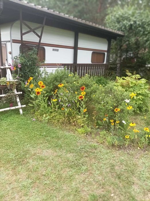 Wynajmę domek letniskowy nad jeziorem w Borach Tucholskich