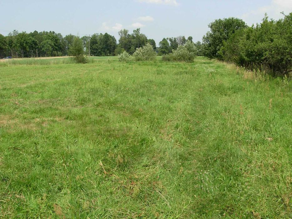 Działka budowlana, Pogorzelec, gmina Pokrzywnica