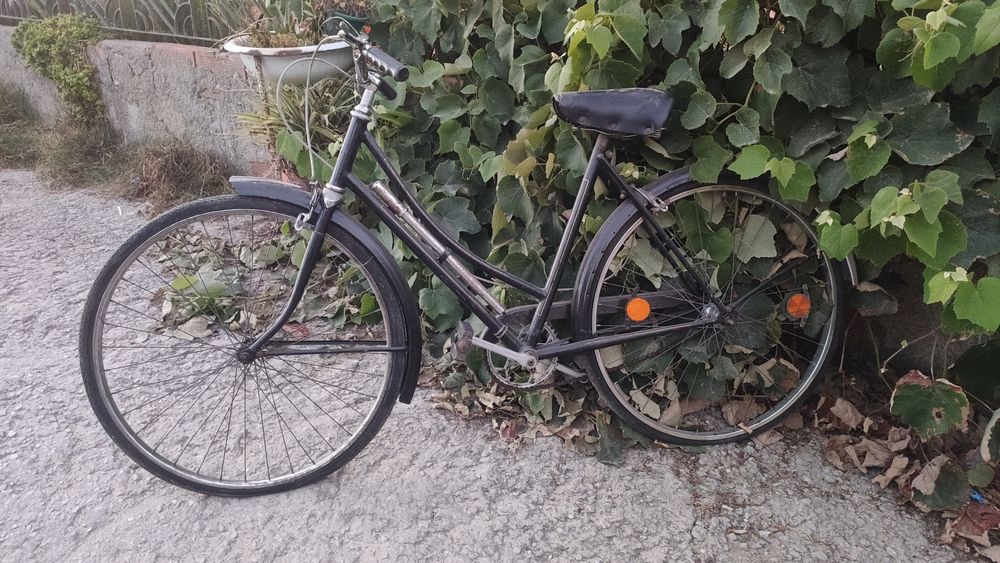 Bicicleta pasteleira