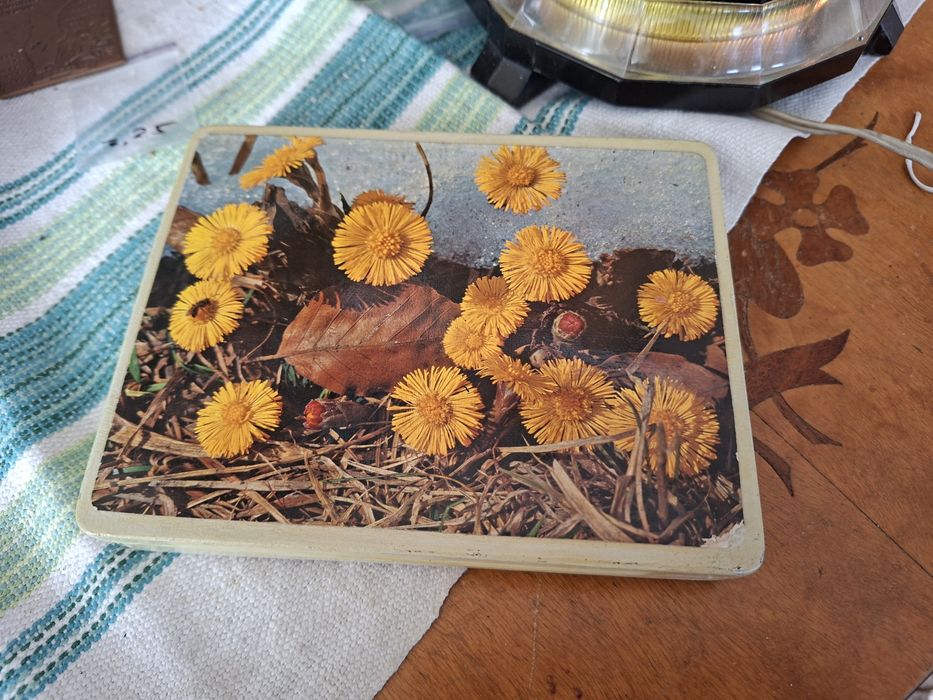 Mini kolekcja monet , 169szt. Metalowe pudelko
