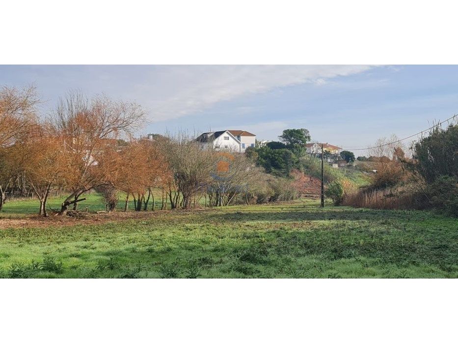 Terreno agrícola 6.000 m2 | A dos Cunhados, Torres Vedras