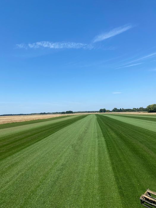 Premium trawa w rolce- producent