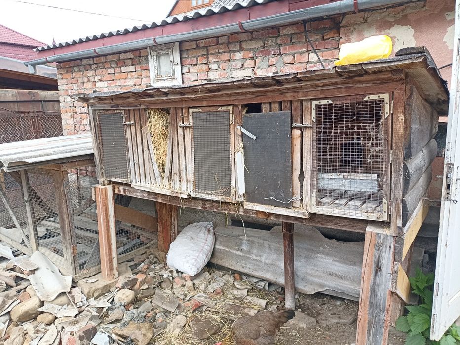 Клітки для кролів