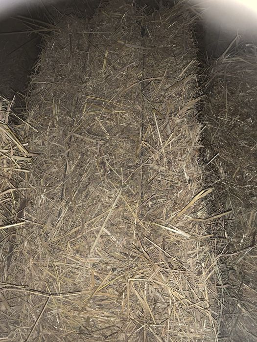 Vendo feno de qualidade