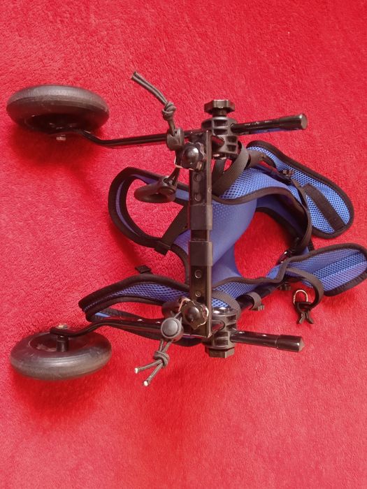 Інвалідний візок для маленьких собак