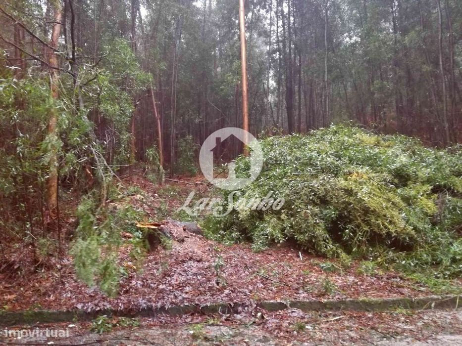 Rustic Land Plot with 26,000 m² in Canidelo, Vila do Conde