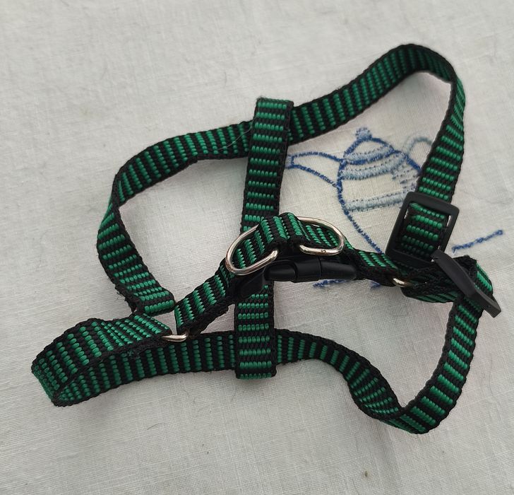 Peitoral para cão de porte pequeno novo