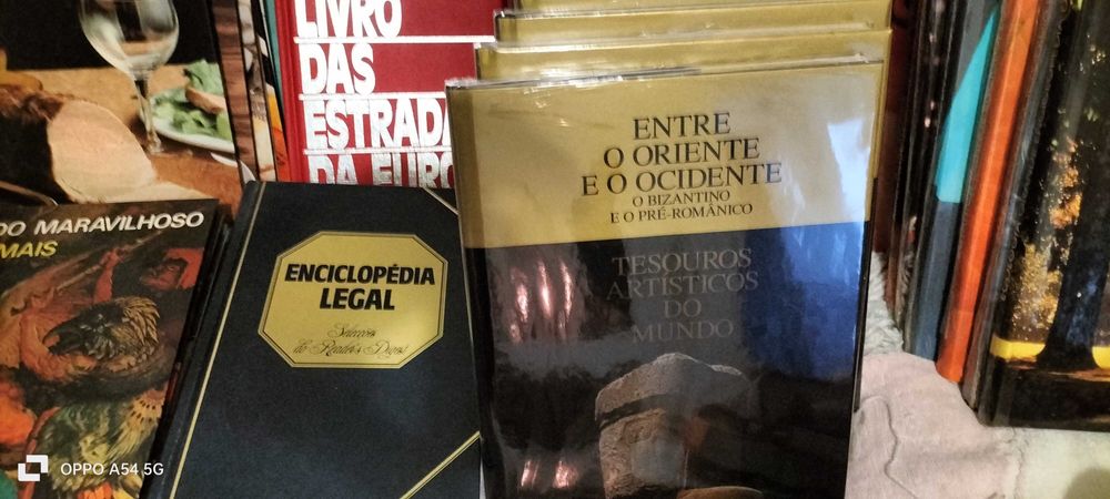 Diversos livros e enciclopédia