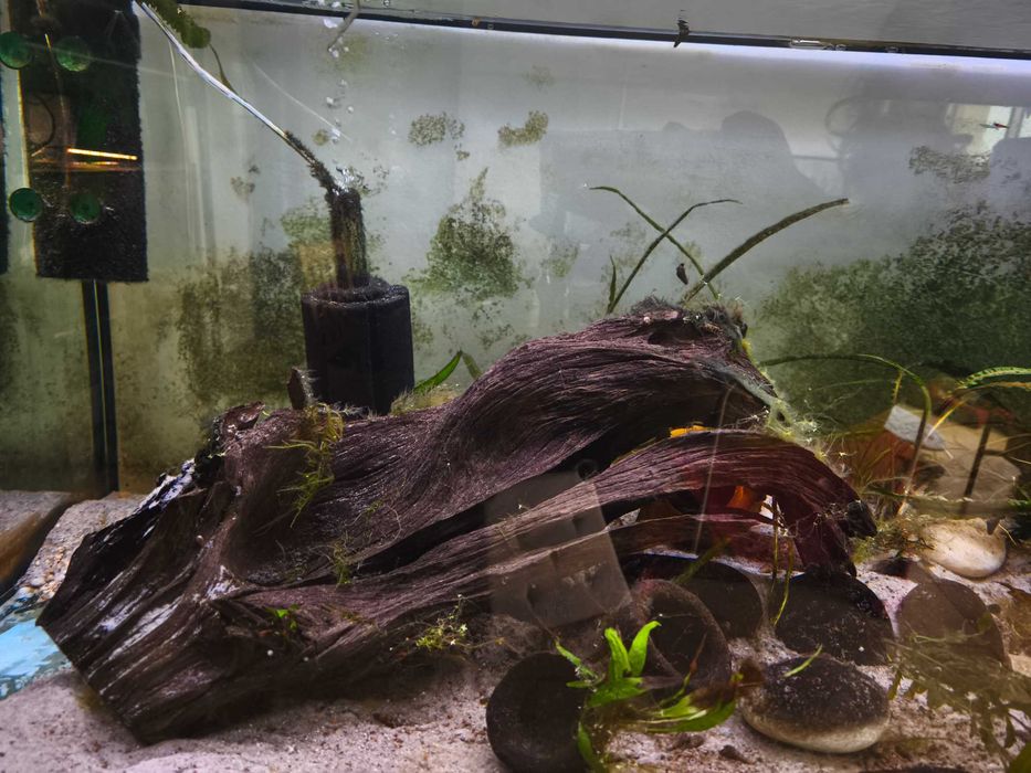 Aquário 300Lts set up completo