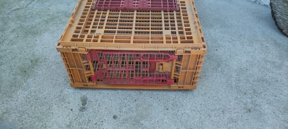 Gaiolas para transportar animais