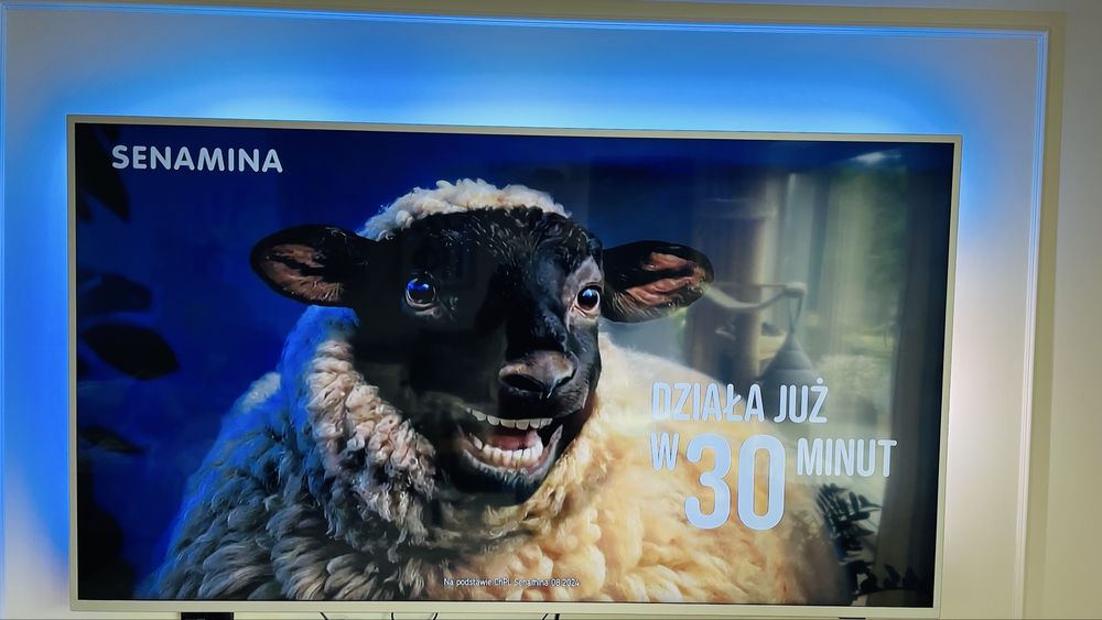 Telewizor Philips 70PUS7304/12 DVB-T2 HEVC - 70”