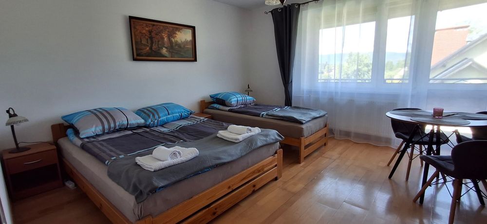 Dom pod Śnieżnikiem Apartament 2-7 os