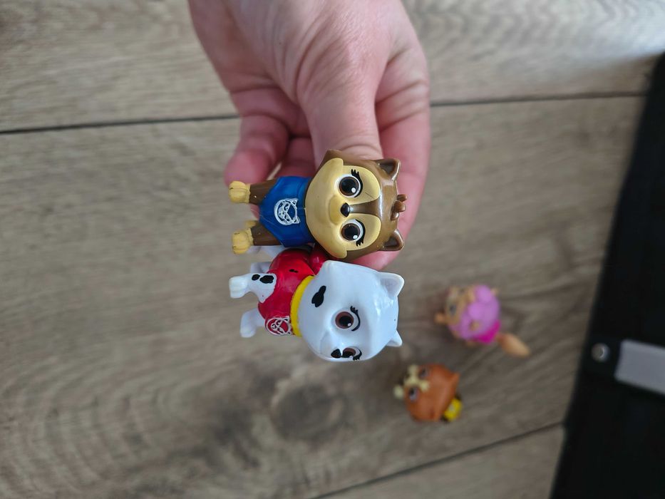 Koty kotki Hunfingera psi patrol paw patrol