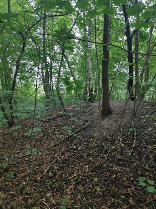 Zdjęcie 6