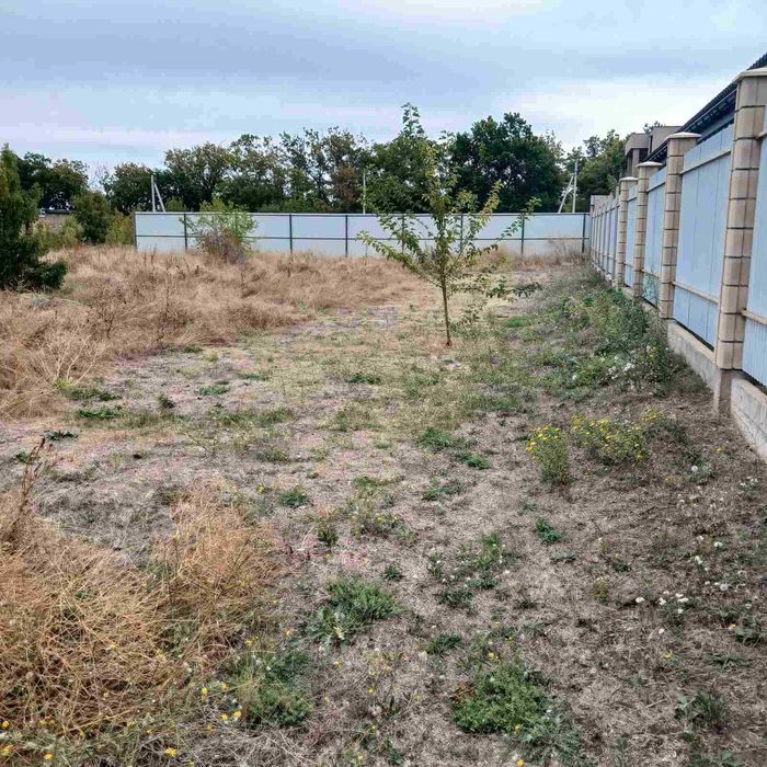 Участок в Лесках