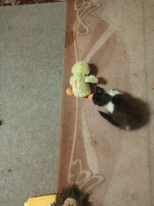 Дуже ласкава дівчинка