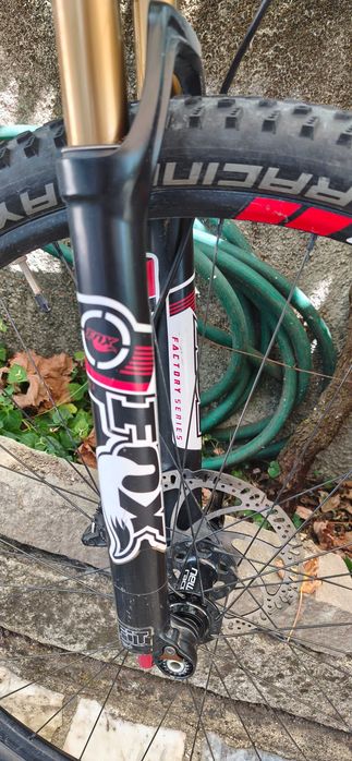 Bicicleta FOCUS RAVEN
