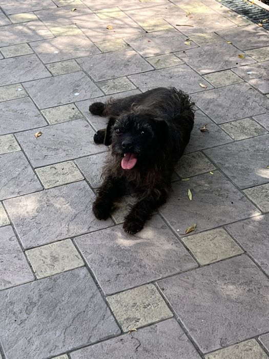 Ищем дом для девочки 3 года в хорошие руки