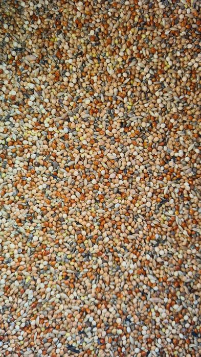 Mieszanka dla papug falistych, małych, kanarków i innych