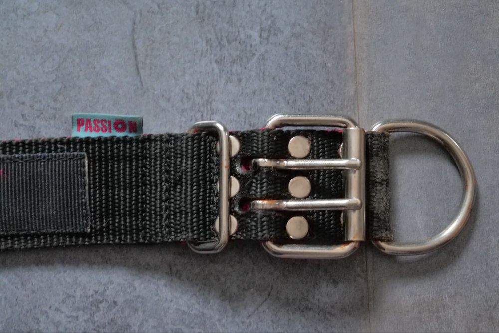 Obroża amstaff passion szeroka 5 cm