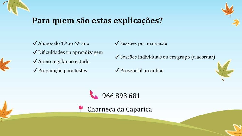 Explicações 1.º Ciclo | Apoio ao estudo e trabalhos de casa64750299263106122